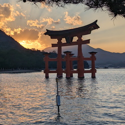 Japon 2025 Kev et Jo